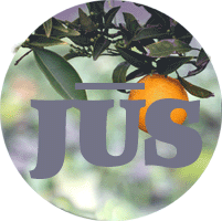 Jus #2