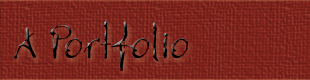 Portfolio image