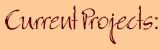 Current Projects