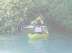 Kayakers