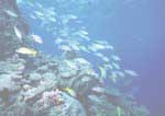 Red Reef State Park