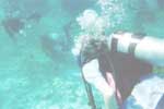 Scuba Divers