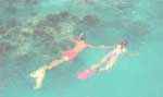 Snorkelers